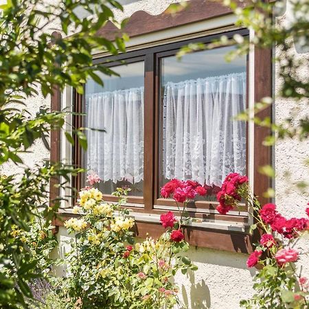 Apartamento Bett und Frühstück bei Gertrud Hergensweiler Exterior foto